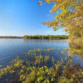 Beaverdam reservoir