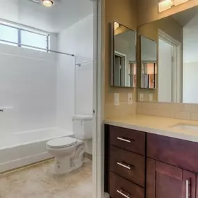 Elegant Bathrooms