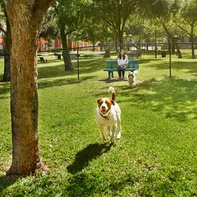 Fenced dog park