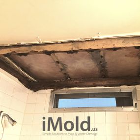 Bild von iMold Water Damage & Mold Restoration SWFL