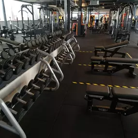 Basic-Fit Alkmaar Terborchlaan 24/7 - free weight zone