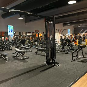 Basic-Fit Den Bosch Oude Vlijmenseweg - free weight zone