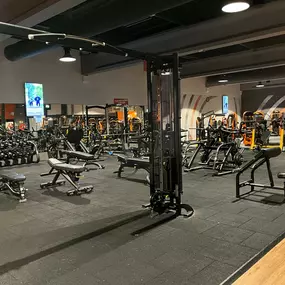 Basic-Fit Den Bosch Oude Vlijmenseweg - free weight zone