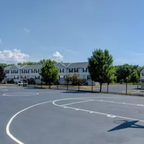 Basketball court