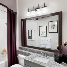 Deluxe Bathroom Designs