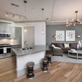 Modern Kitchen and Living Area