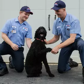 Bild von Roto-Rooter Plumbing & Drain Service