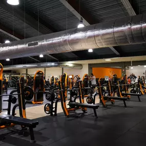 Bild von Basic-Fit 24/7