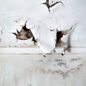 Water Damage Restoration