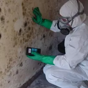 Mold Remediation and Removal