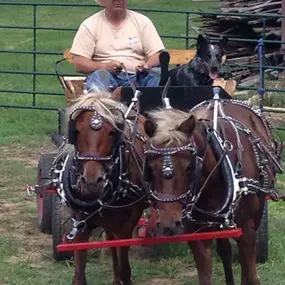 Wyoming Saddle Company