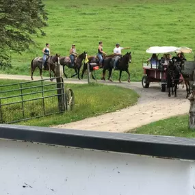 Wyoming Saddle Company