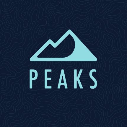 Logo de Peaks Digital Marketing