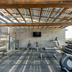 Scenic fitness center with cardio machines and free weights.