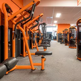 Bild von Basic-Fit Ladies