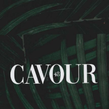 Logo da Cavour 48 Hairstyle