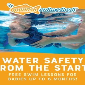 Bild von Goldfish Swim School - Ann Arbor