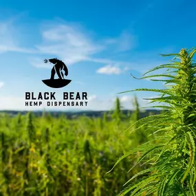 Bild von Black Bear Hemp Dispensary