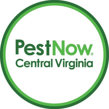 Logotipo de PestNow of Central Virginia | Richmond