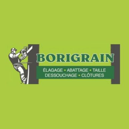 Logo de Borigrain