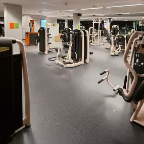 Bild von Basic-Fit Ladies