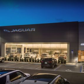 Jaguar Jacksonville