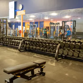 Bild von Basic-Fit 24/7