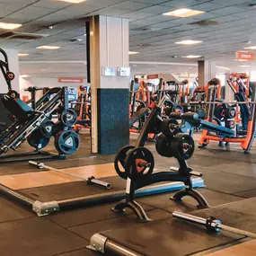 Basic-Fit Zwolle Stadshagen 24/7 - free weight zone