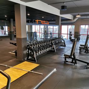 Basic-Fit Haarlem Bernadottelaan - free weight zone