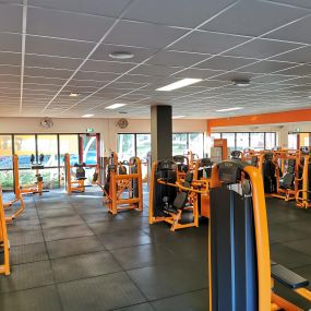 Basic-Fit Haarlem Bernadottelaan - strength zone