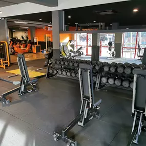 Basic-Fit Haarlem Bernadottelaan - free weight zone