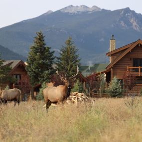 Bild von Mountain Village at Lake Estes