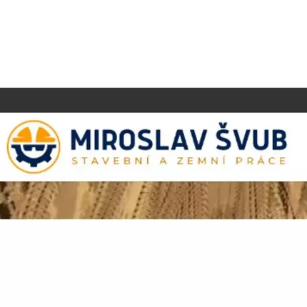 Logo from Miroslav Švub