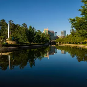 Near The Woodlands Waterway Neighborhood