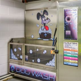 Dog Wash Station