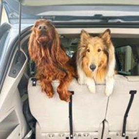 Do you need travel products for your pets? Pure Pet will deliver everything from food and supplements to treats, clothing, bedding and travel gear to keep your animals happy and healthy while on the journey.