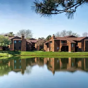 Bild von Timber Lake
