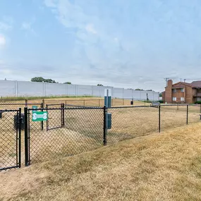 Bild von Timber Lake
