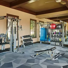 Fitness center strength equipment