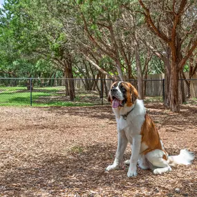 Private, gated dog park onsite at Camden Brushy Creek in Austin, TX