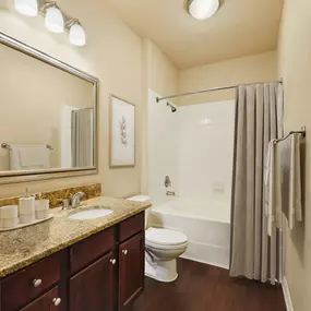 Bathroom with granite countertop and bathtub at Camden Brushy Creek apartments in Cedar Park, TX