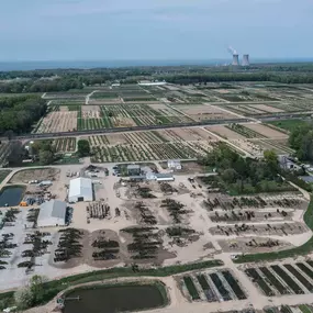 Petitti Family of Farms Losely Location