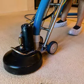 Bild von AJS Carpet Cleaning, Inc
