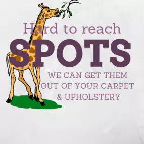 Bild von AJS Carpet Cleaning, Inc
