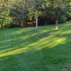Lawn Care