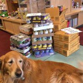 RJ Paddywacks is a locally owned family operated business in Colorado. We are a one-stop pet store offering a personalized customer experience to every visitor that walks through our door.