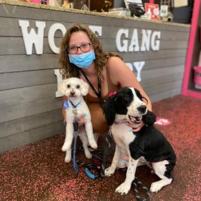 Do you need someone to deliver pet products at your doorsteps? Woof Gang Bakery & Grooming Clearwater is a local store-to-door delivery service in Alabama to fulfil all of your companion animal’s needs.
