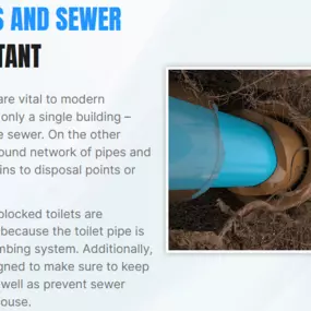 Bild von 1 Drain Guy Llc