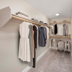 Large walk-in closet with wooden shelves and rods