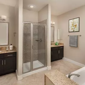 Penthouse finish bathroom with stand up shower and bathtub